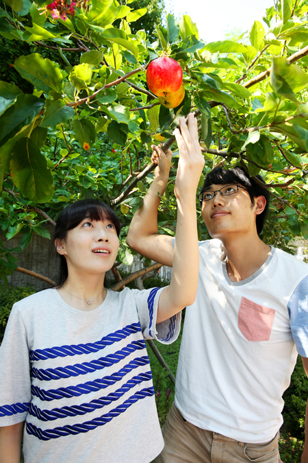 동아대 ‘뉴턴 4대 손(孫) 사과’ 붉게 익어