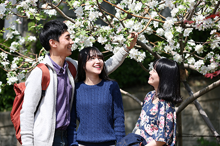 동아대 ‘뉴턴의 사과나무’에 하얀 꽃 만개