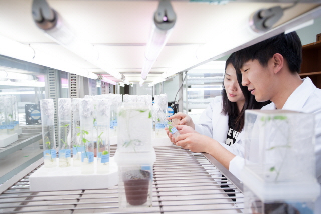 동아대 CK-1 생명산업 통합연계교육 사업단 A등급 받아