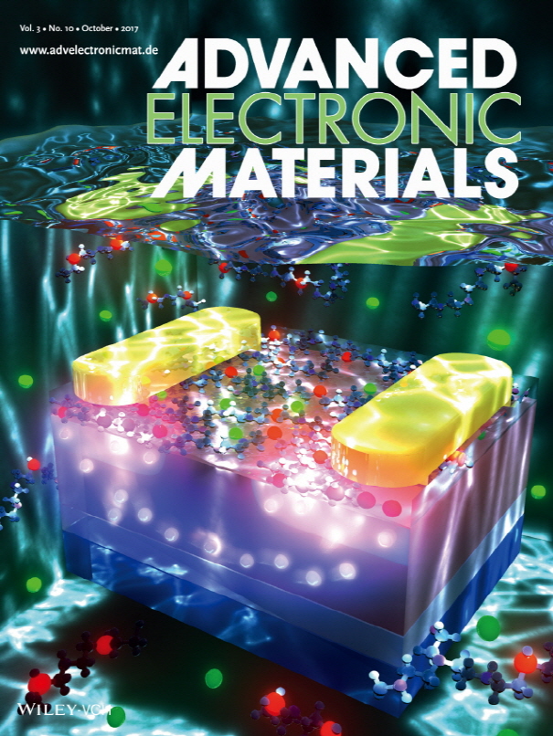서정화 동아대 교수팀, 신소재과학 분야 권위지 표지논문 선정