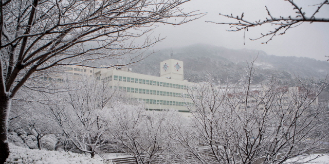 동아대, 2019학년도 정시모집 경쟁률 4.81대 1