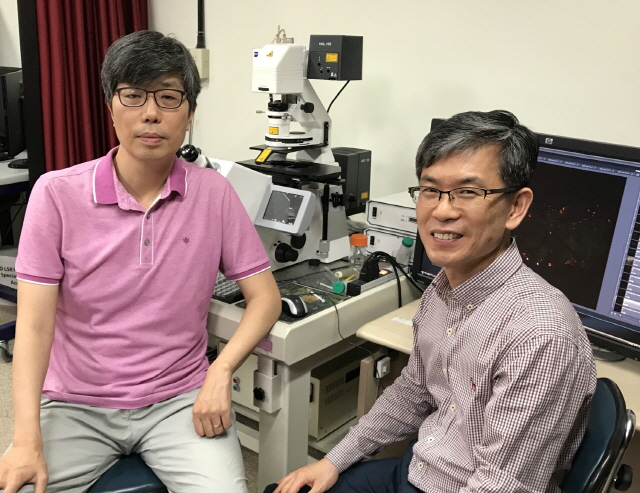 동아대 고형종·윤진호 교수 공동연구팀, 파킨슨병 원인 생체조직 ‘미토파지 측정’ 초파리 모델 개발