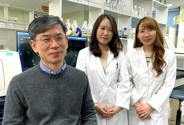 동아대 윤진호 교수팀, ‘p53(항암단백질)에 의한 미토콘드리아 역동성 조절 분자기전’ 최초 규명