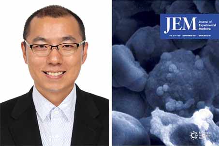 동아대 이종호 교수, 의학 전문 학술지 ‘Journal of Experimental Medicine’에 아티클 논문 게재
