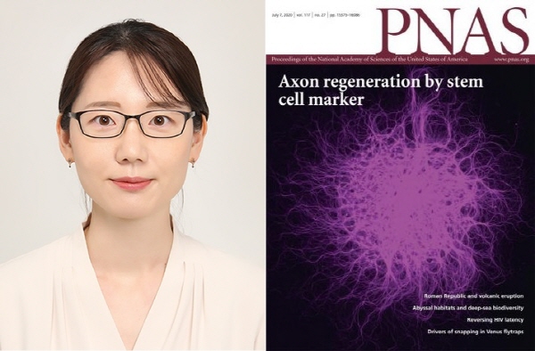 동아대 의과대학 신정은 교수, SCI급 저널 ‘PNAS’에 논문 게재