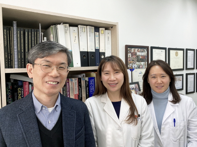 동아대 윤진호 교수 연구팀, 세계적 학술지 ‘파셉 저널 (FASEB Journal)’에 미토콘드리아 조절 연구 게재